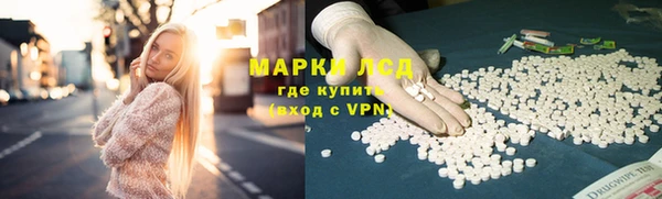 трава Беломорск