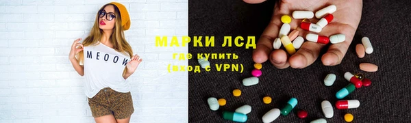 сатива Белоозёрский