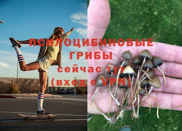герыч Гусев