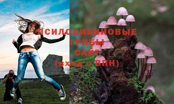 сатива Белоозёрский