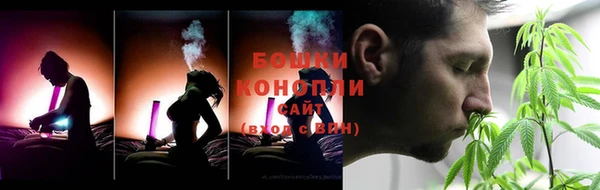 сатива Белоозёрский