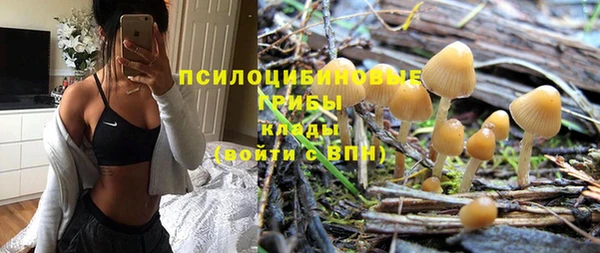 герыч Елабуга