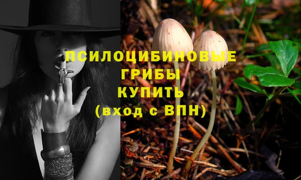 тгк Белокуриха