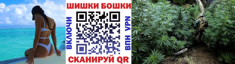наркотики  Кондрово  Шишки марихуана план 